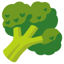 Warzywa